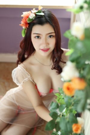 间谍过家家第一季免费观看中文_BD英语BD在线观看