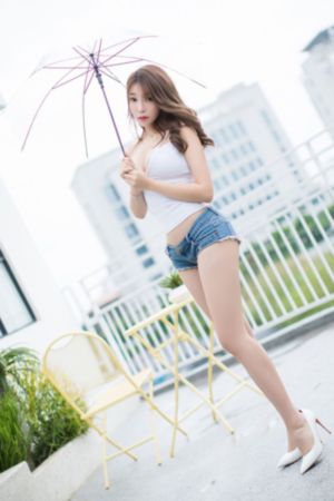葬送的芙莉莲_DVD完整在线观看