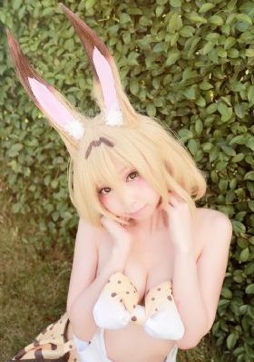 斗贼电视剧免费观看_剧情片高清完整版